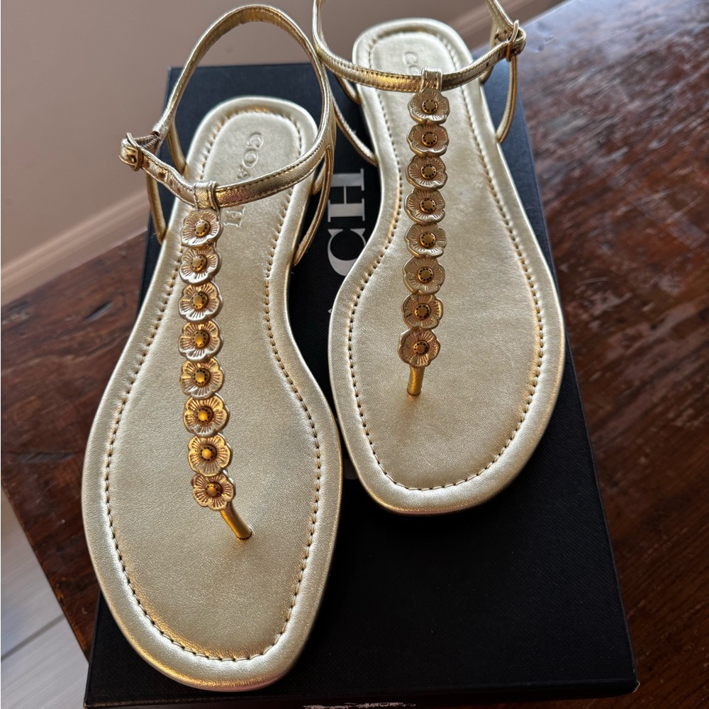 Coach Jacqueline Metallic Gold Sandal | Size 9